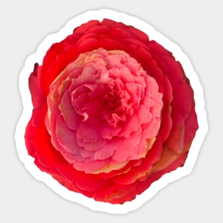 Bright orange flower Sticker